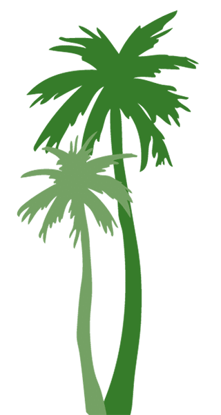 Palm Trees-min